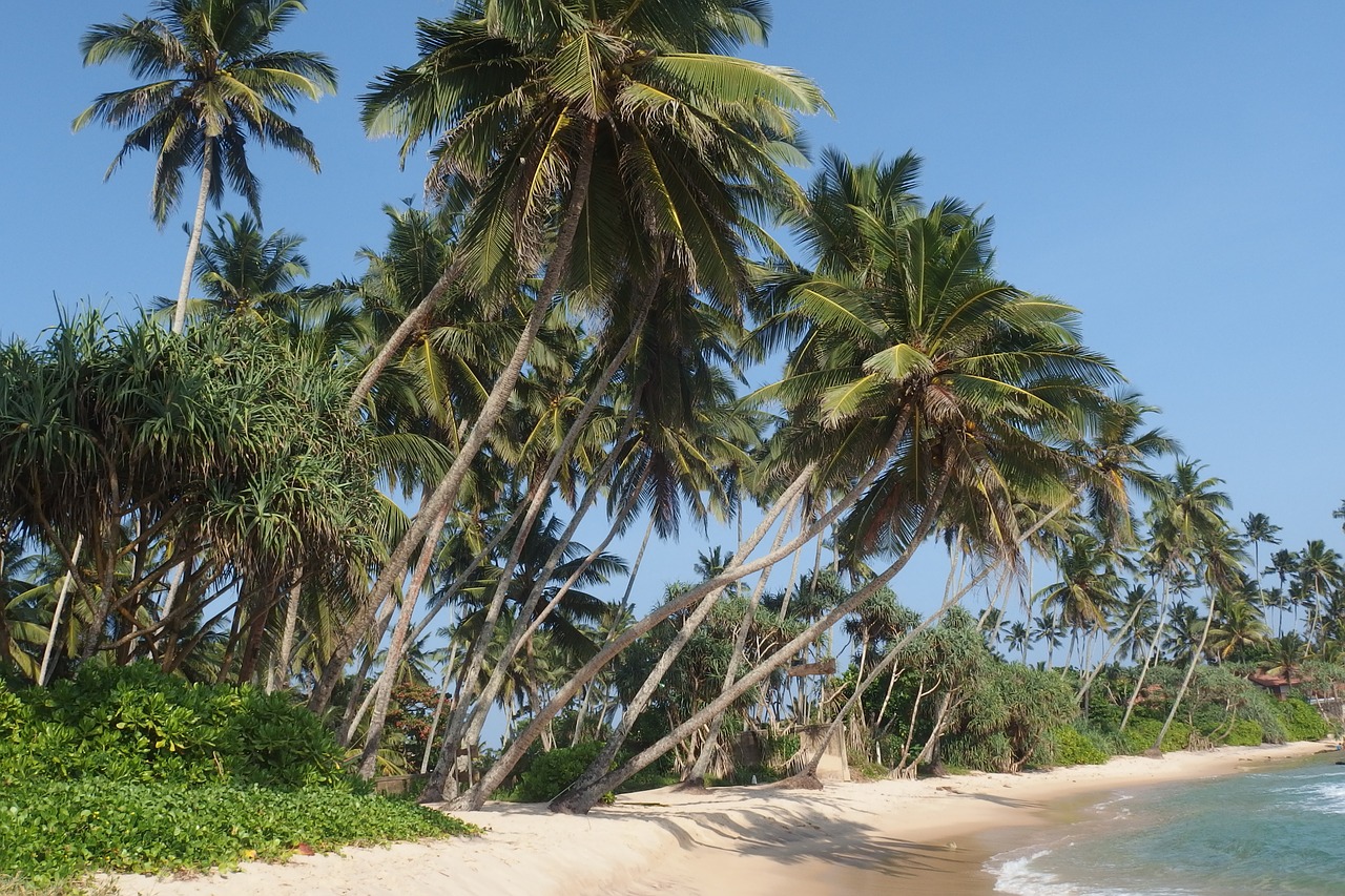 eVisa Sri Lanka